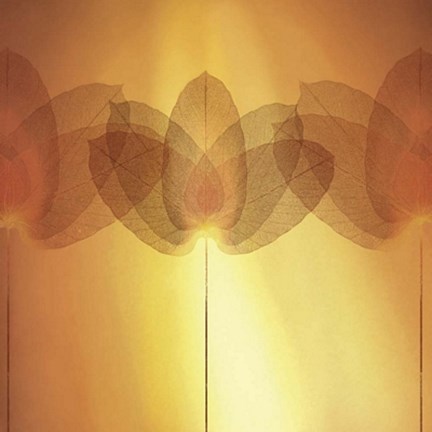 Framed Transparence VI Print