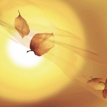 Framed Transparence III Print