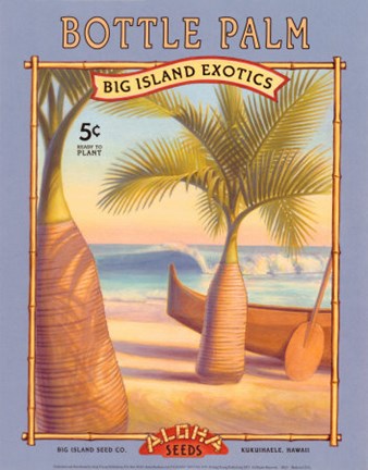 Framed Bottle Palm Print