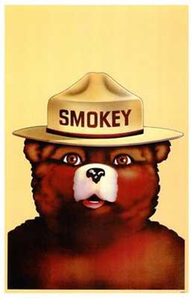 Framed Smokey the Bear Print