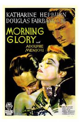 Framed Morning Glory Print