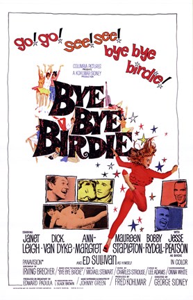 Framed Bye Bye Birdie Print