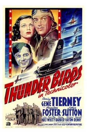 Framed Thunder Birds Print