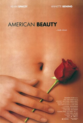 Framed American Beauty - Rose Print