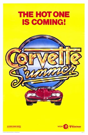 Framed Corvette Summer The Film Print