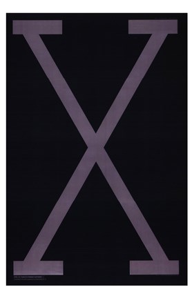 Framed Malcolm X Print