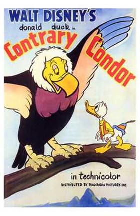 Framed Contrary Condor Print