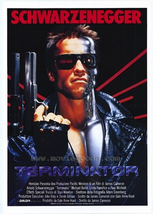 Framed Terminator - Foreign - style A Print