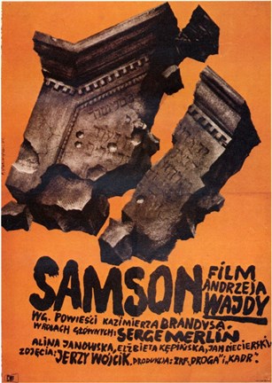 Framed Samson Print