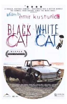 Framed Black Cat  White Cat Print
