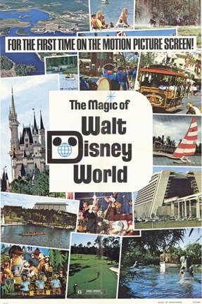 Framed Magic of Walt Disney World Print