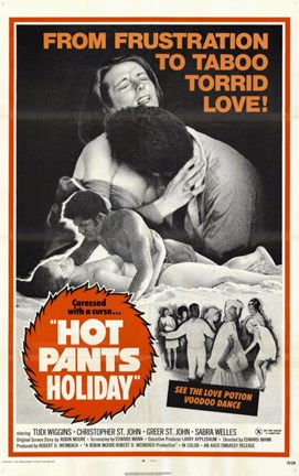 Framed Hot Pants Holiday Print