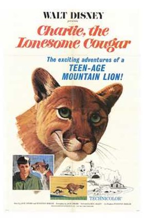Framed Charlie  the Lonesome Cougar Print