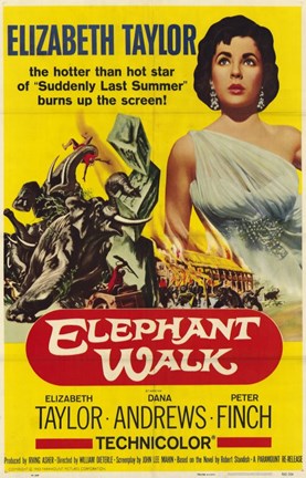 Framed Elephant Walk Print