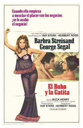 Framed Owl and the Pussycat Print