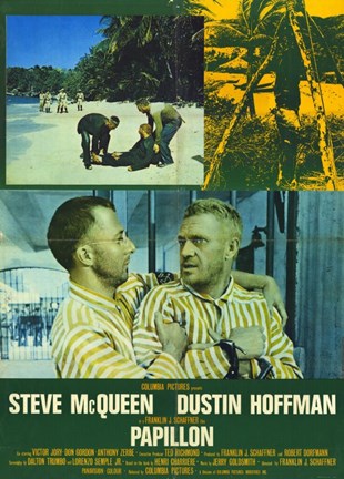 Framed Papillon Greens Print