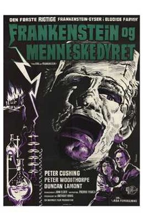 Framed Evil of Frankenstein Print
