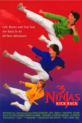 Framed 3 Ninjas Kick Back Print