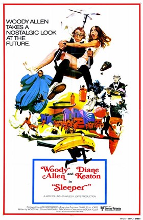 Framed Sleeper Print