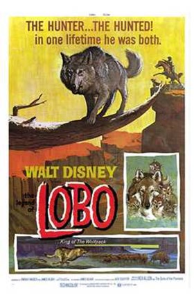 Framed Legend of Lobo Print