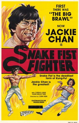Framed Snake Fistfighter Print