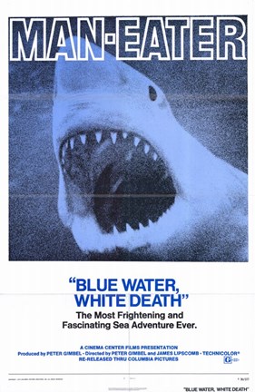 Framed Blue Water White Death Print