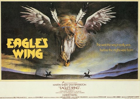 Framed Eagle's Wing Print