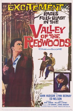 Framed Valley of the Redwoods Print