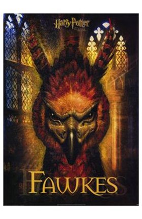 Framed Harry Potter and the Chamber of Secrets Print