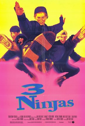 Framed 3 Ninjas Print