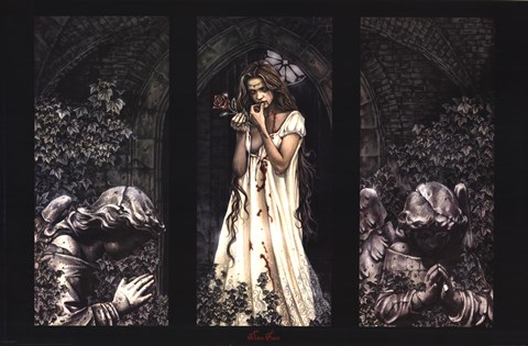 Framed Rose (triptych) Print