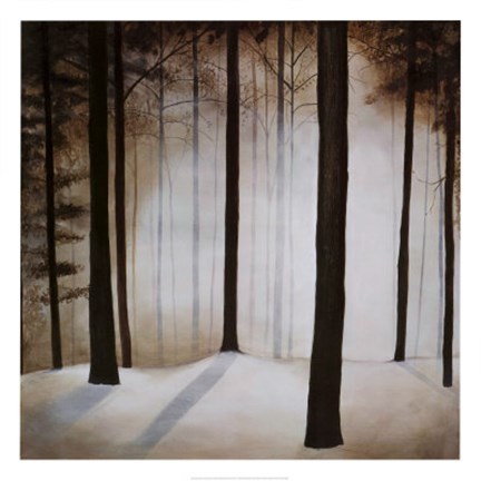 Framed Winter Solace Print