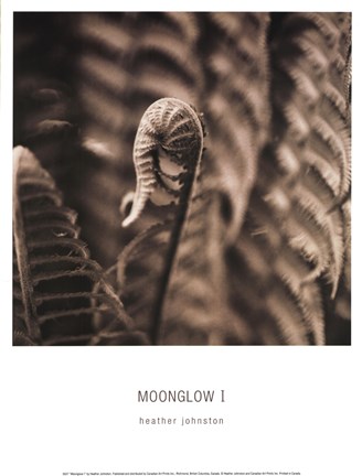 Framed Moonglow I Print