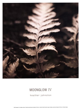 Framed Moonglow IV Print