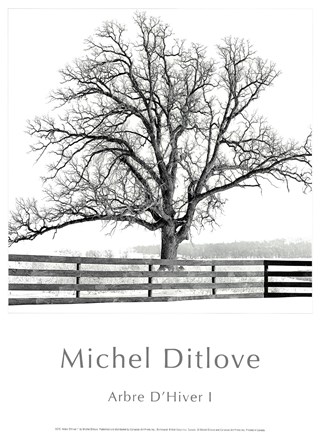 Framed Arbres D'Hivers I Print