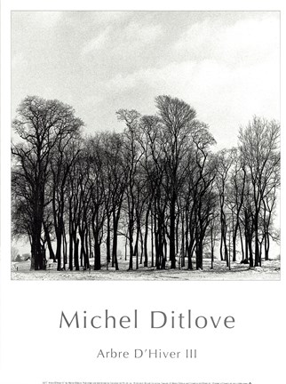 Framed Arbres D'Hivers III Print