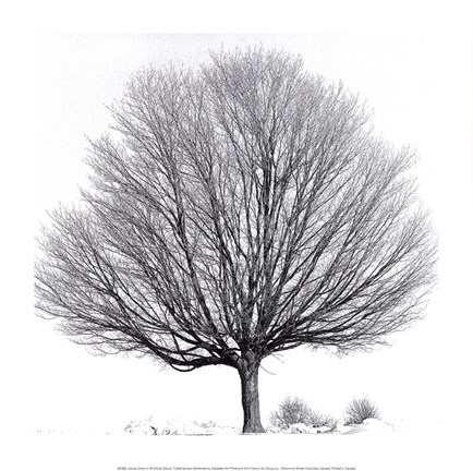 Framed Arbres D'Hivers IV Print