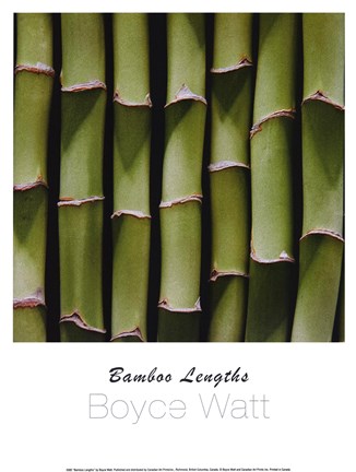 Framed Bamboo Lengths Print