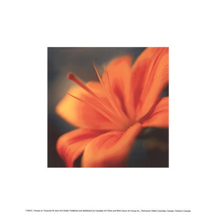 Framed Orange on Turquoise Print