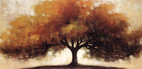 Framed Transition Print