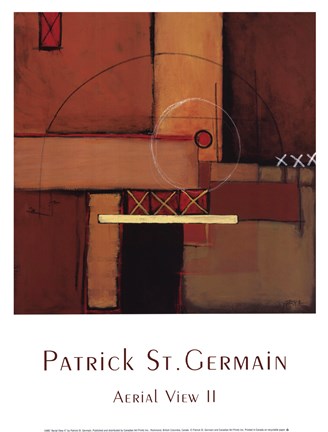 Framed Aerial View II Print