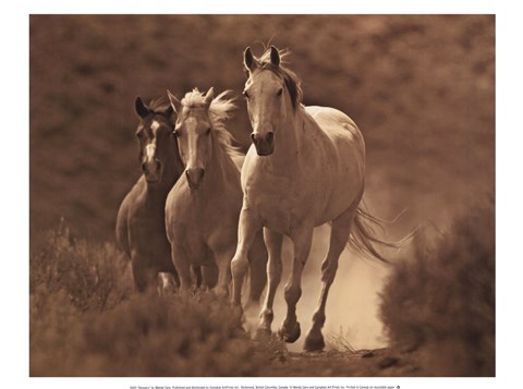 Framed Rangers Print