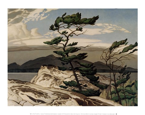 Framed White Pine Print