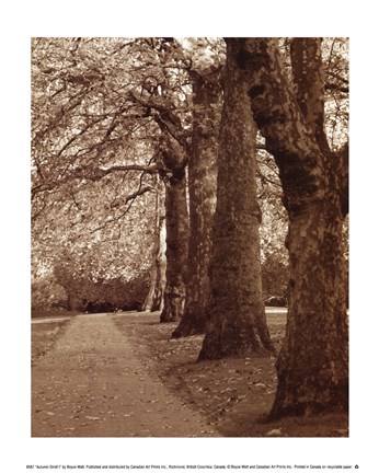 Framed Autumn Stroll I Print