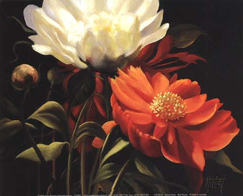 Framed Red Peony Print