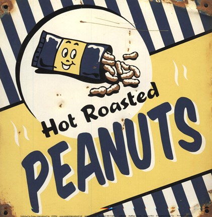 Framed Peanuts Print
