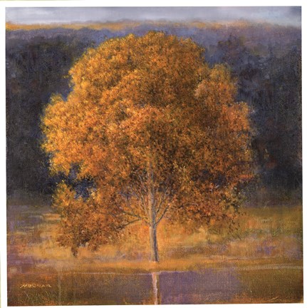 Framed Down A Lazy River #1 Print