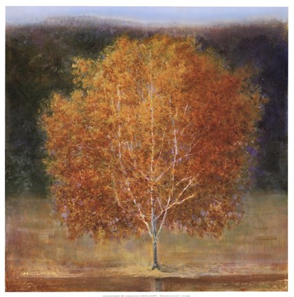 Framed Down A Lazy River #2 Print