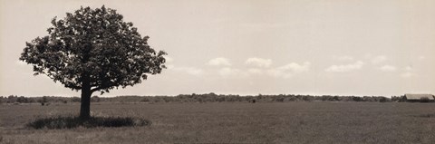 Framed Out In Left Field Print