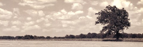 Framed Out In Right Field Print